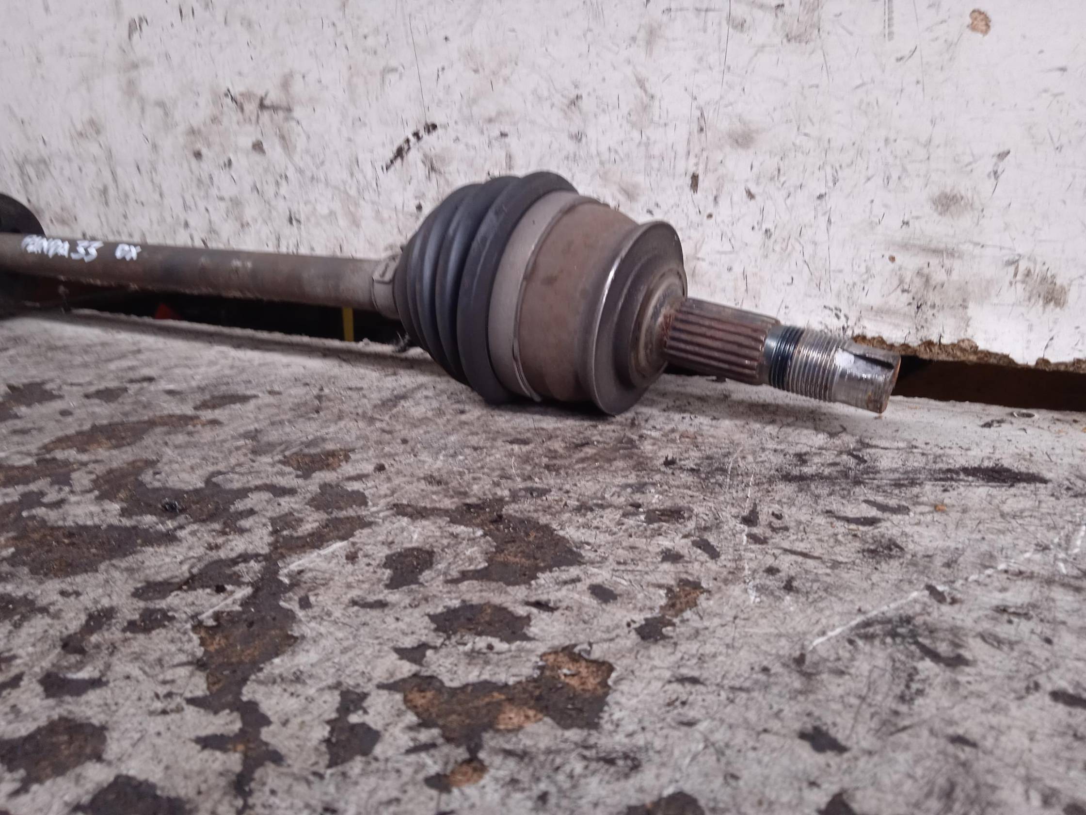 Semialbero ant. compl. dx.